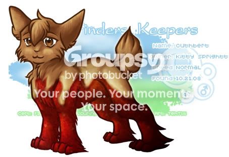 User Image